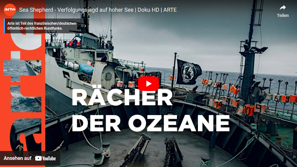Sea Shepherd - Verfolgungsjagd auf hoher See